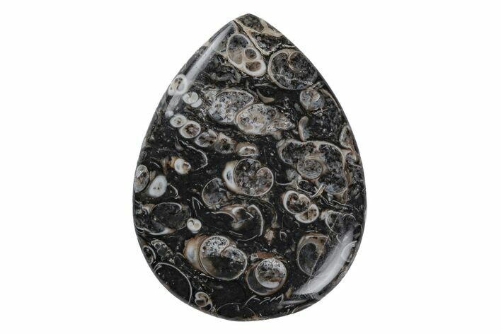 Polished Fossil Turritella Agate Cabochon - Wyoming #219190